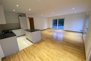 Magnifique appartement de 5,5 pièces en Rez-de-jardin