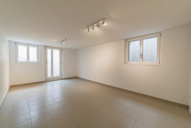 Villa Contemporaine au Grand-Saconnex