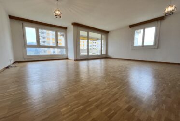 Appartement de 7 pièces avec vue panoramique à Meyrin