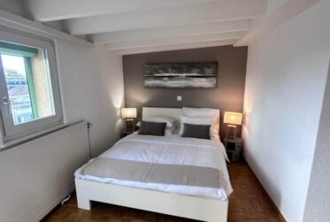 Appartement de 2,5 pièces en Attique
