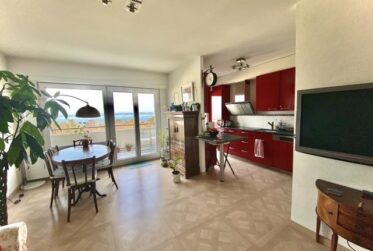 Appartement Meublé de 3 pièces à Versoix avec vue sur lac et Alpes