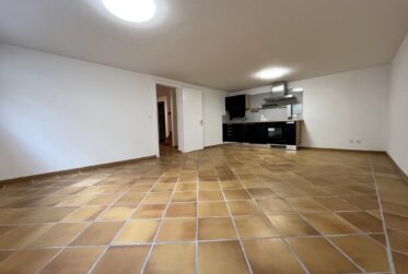 Charmante Villa Mitoyenne à Bellevue