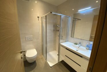 Magnifique appartement de 5,5 pièces d'environ 130 m² en rez-de-jardin