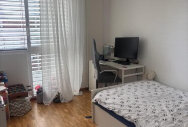 Appartement de 6 pièces situé à Champel