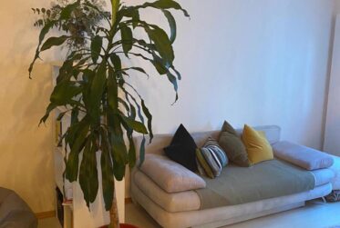2.5 Rooms Flat