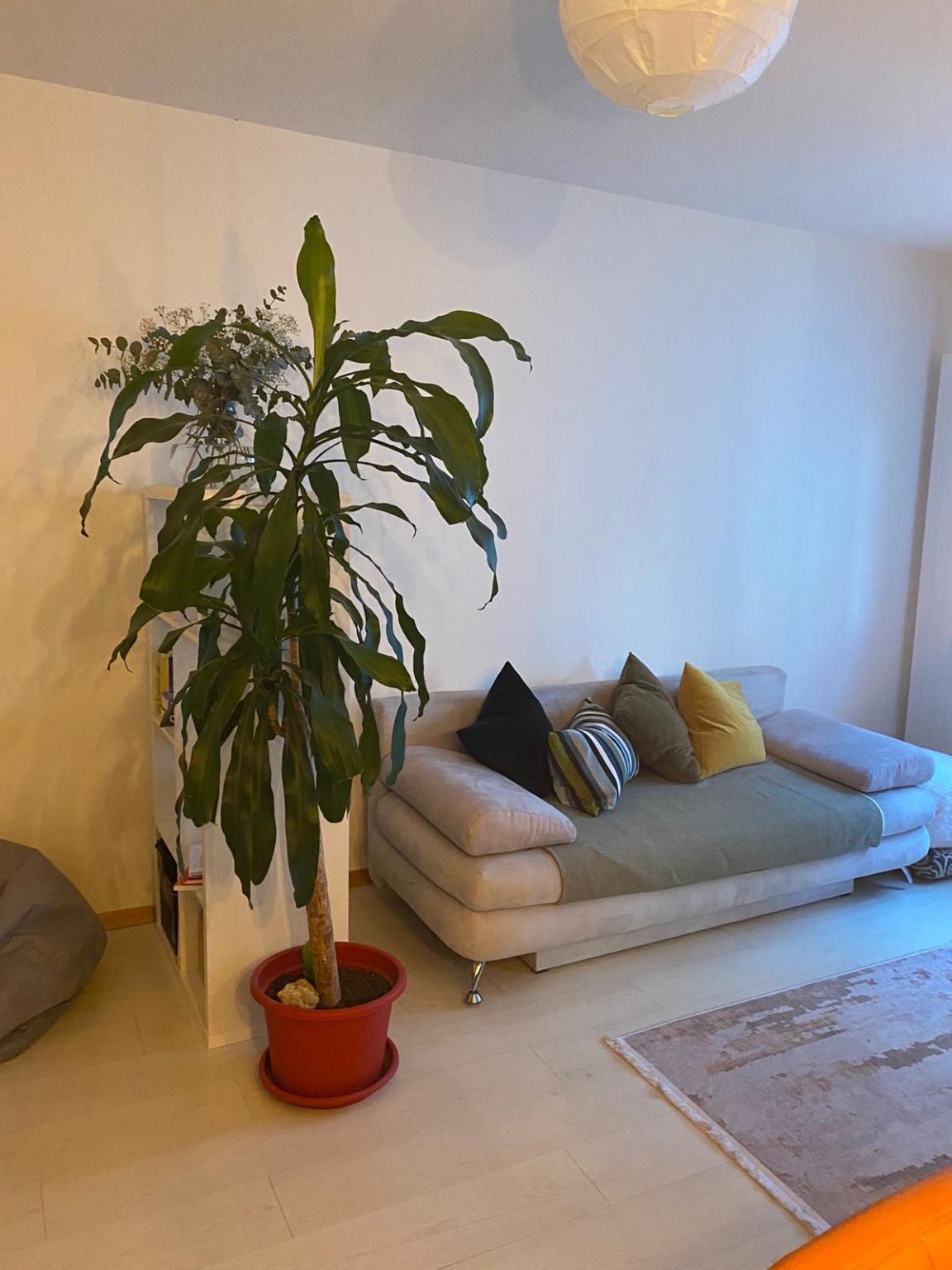 2.5 Rooms Flat