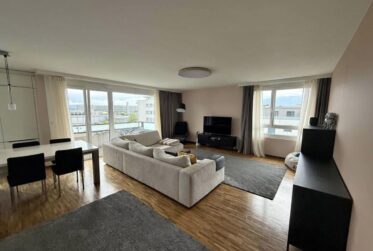 Superbe appartement de 6,5 pièces - Lumineux, moderne et vue dégagée