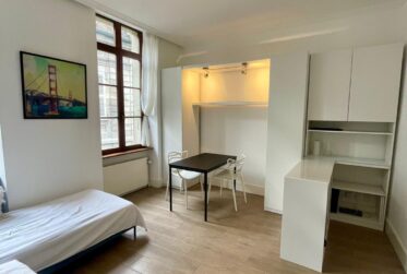 1 Rooms Flat