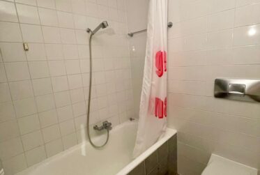 1 Rooms Flat