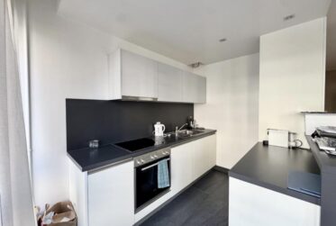Appartement 1,5 pièces lumineux et moderne - Champel