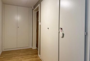 Appartement 1,5 pièces lumineux et moderne - Champel