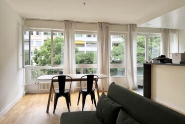 Appartement 1,5 pièces lumineux et moderne - Champel