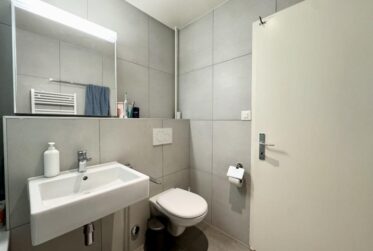 Appartement 1,5 pièces lumineux et moderne - Champel
