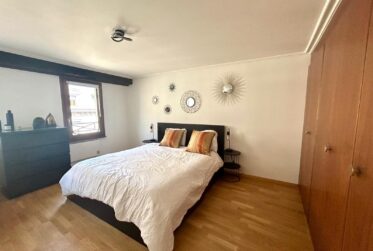 Appartement de 4,5 pièces traversant au cœur ville de Genève - Molard