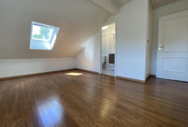 Superbe Maison avec Piscine et Studio Indépendant à Genthod