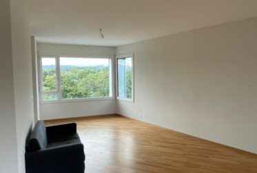 Spacieux appartement de 7 pièces à Chêne-Bougeries