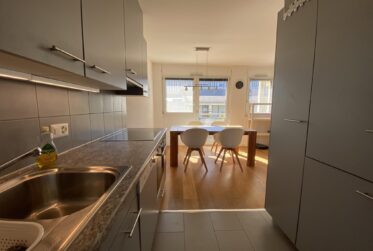 Magnifique appartement de 5 pièces à Meyrin