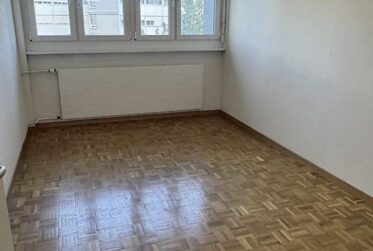 Bel appartement de 5 pièces à Vernier