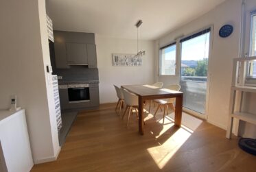 Magnifique appartement de 5 pièces à Meyrin
