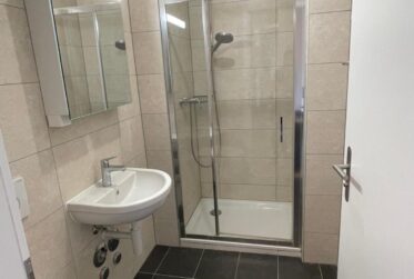 Spacieux appartement de 7 pièces à Chêne-Bougeries