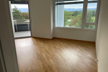Spacieux appartement de 7 pièces à Chêne-Bougeries