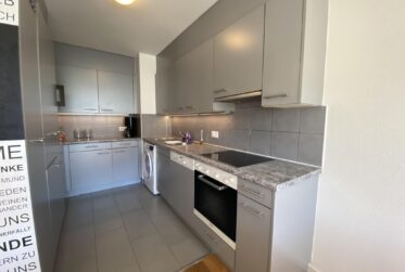 Magnifique appartement de 5 pièces à Meyrin
