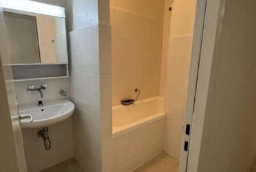 Bel appartement de 5 pièces à Vernier
