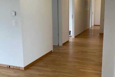 Spacieux appartement de 7 pièces à Chêne-Bougeries
