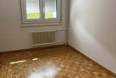 Charmant Appartement 3 pièces de 45m2 Grand Saconnex