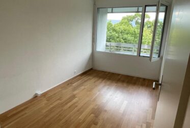 Spacieux appartement de 7 pièces à Chêne-Bougeries