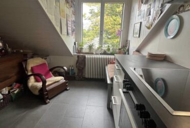 Appartement de 5.5 pièces au dernier étage aux Eaux-Vives