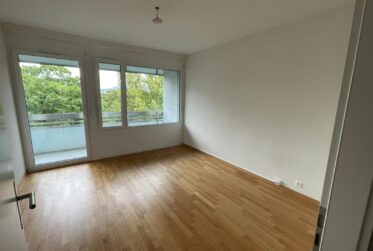 Spacieux appartement de 7 pièces à Chêne-Bougeries