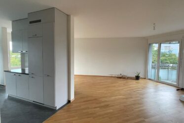 Spacieux appartement de 7 pièces à Chêne-Bougeries