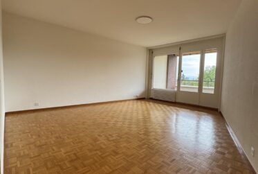 Appartement à louer au Petit-Saconnex