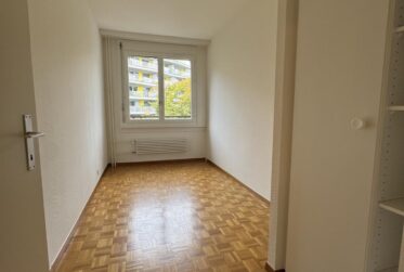 Appartement à louer au Petit-Saconnex