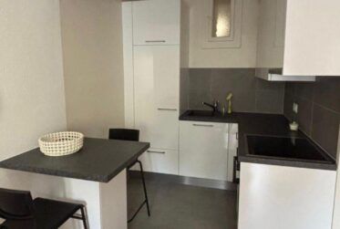 Appartement Rénové meublé 2,5 pièces - Eaux vives