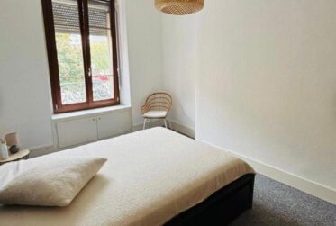 Appartement Rénové meublé 2,5 pièces - Eaux vives