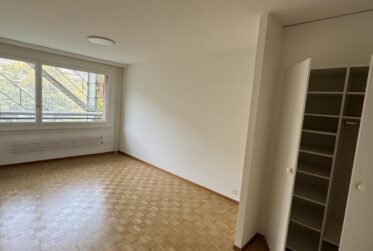 Appartement à louer au Petit-Saconnex