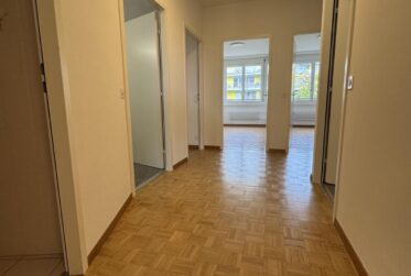 Appartement à louer au Petit-Saconnex
