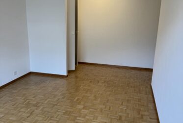 Appartement à louer au Petit-Saconnex