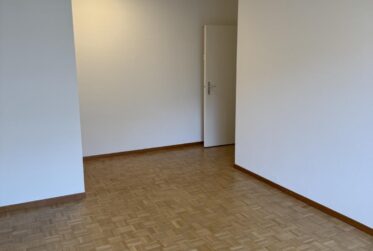 Appartement à louer au Petit-Saconnex