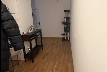 Bel appartement 4 pièces au Petit-Saconnex