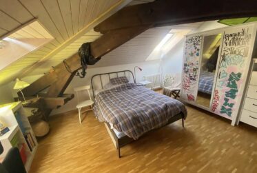 Appartement 5 pièces attique en plein centre ville