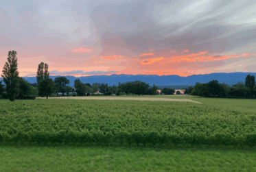 Appartement moderne de 5 pièces