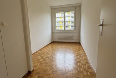 Appartement à louer au Petit-Saconnex - 4500.-