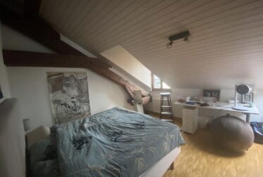 Appartement 5 pièces attique en plein centre ville