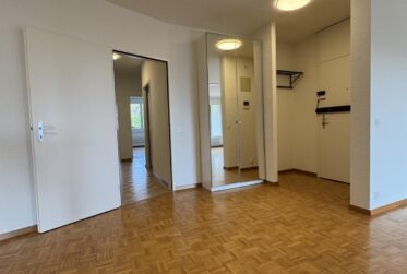 Appartement à louer au Petit-Saconnex - 4500.-