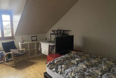 Appartement 5 pièces attique en plein centre ville