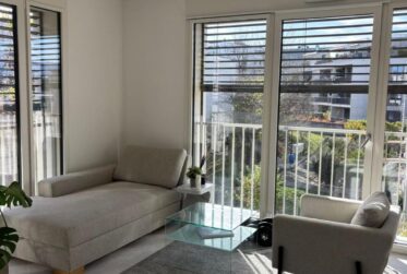 Magnifique 2.5 pièces type loft au Grand-Saconnex