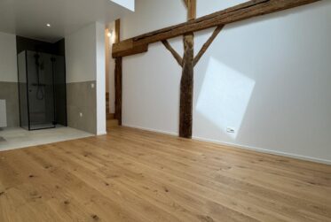 Maison entièrement rénové à vendre -